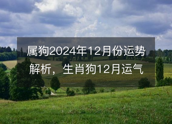 属狗2024年12月份运势解析，生肖狗12月运气好吗
