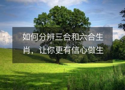 如何分辨三合和六合<font color='red'>生肖</font>，让你更有信心做<font color='red'>生肖</font>网站的生意