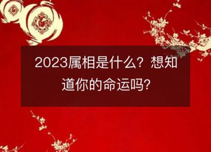 2023<font color='red'>属相</font>是什么？想知道你的命运吗？