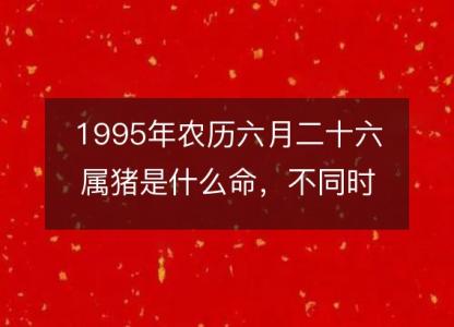 1995年农历六月<font color='red'>二十六</font>属猪是什么命，不同时辰八字五行查询