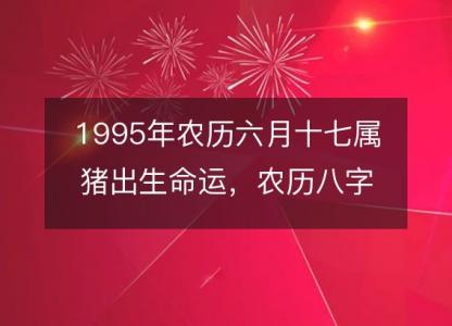 1995年农历六月十七属猪出生命运，农历八字五行缺<font color='red'>不缺</font> 性格特点