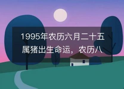 1995年农历六月二十五属猪出生命运，农历八字五行缺<font color='red'>不缺</font> 性格特点