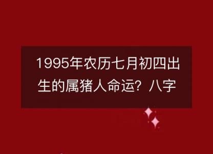 1995年农历七月初四出生的属猪<font color='red'>人命</font>运？八字五行缺什么！性格详解