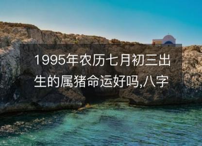 1995年农历七月初三出生的属猪命运好吗,八字五行<font color='red'>缺什么</font> 性格特点