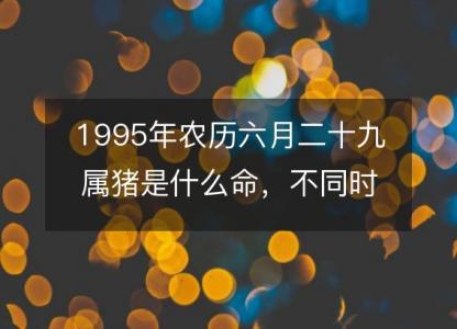 1995年农历六月二十九属猪是什么命，不同<font color='red'>时辰</font>八字五行查询