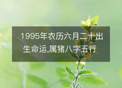 1995年农历六月<font color='red'>二十</font>出生命运,属猪八字五行 婚姻感情解析