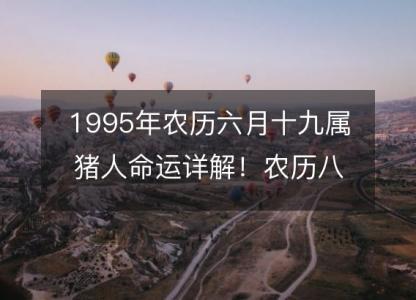 1995年农历六月十九属猪<font color='red'>人命</font>运详解！农历八字五行缺什么 婚姻事业