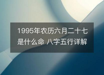 1995年农历六月<font color='red'>二十七</font>是什么命 八字五行详解