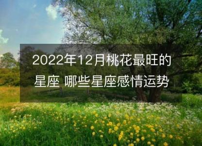 2022年12月桃花最旺的<font color='red'>星座</font> 哪些<font color='red'>星座</font>感情运势红火