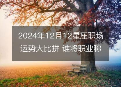 2024年12月12星座<font color='red'>职场</font>运势大比拼 谁将职业称雄