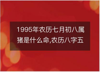 1995年农历七月初八属猪是什么命,农历八字五行缺<font color='red'>不缺</font>,姻缘解析