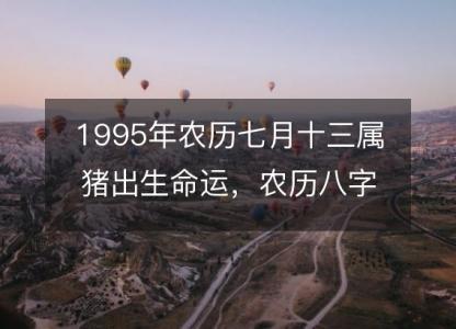 1995年农历七月十三属猪出生命运，农历八字五行缺<font color='red'>不缺</font> 性格特点