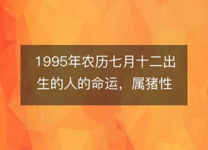 1995年农历七月十二出生的人的命运，属猪<font color='red'>性格特点</font> 八字五行