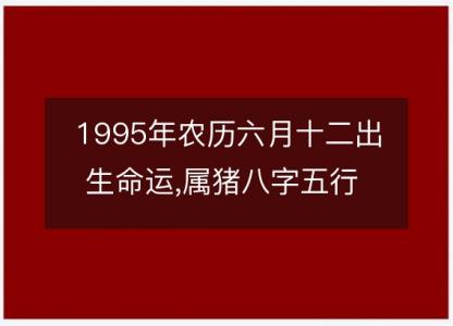 1995年农历六月十二出生命运,属猪八字五行 婚姻感情<font color='red'>解析</font>