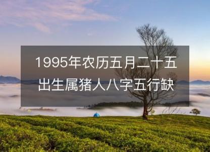 1995年农历五月二十五出生属猪人八字五行缺吗？命运、婚姻、性格、事业<font color='red'>财运</font>！