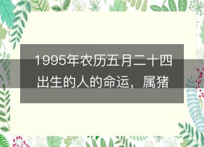 1995年农历五月二十四出生<font color='red'>的人</font>的命运，属猪性格特点 八字五行