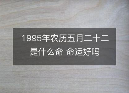 1995年农历五月二十二是什么命 <font color='red'>命运</font>好吗