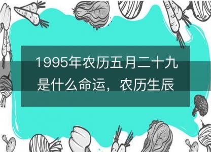 1995年农历五月二十九是什么<font color='red'>命运</font>，农历生辰八字五行缺吗 事业婚姻