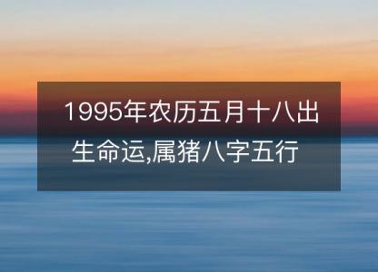 1995年农历五月十八出生命运,属猪八字五行 婚姻感情<font color='red'>解析</font>