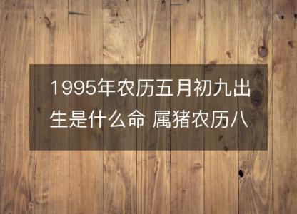 1995年农历五月初九出生是什么命 属猪农历八字五行<font color='red'>解析</font>  性格特点