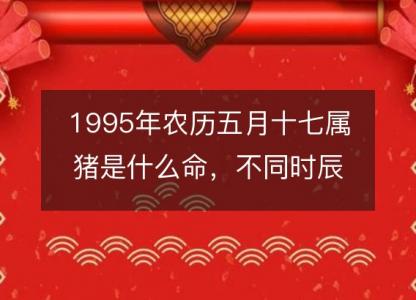 1995年农历五月十七属猪是什么命，不同<font color='red'>时辰</font>八字五行查询