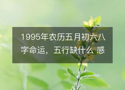 1995年农历五月初六八字命运，五行<font color='red'>缺什么</font> 感情婚姻、性格、事业财运