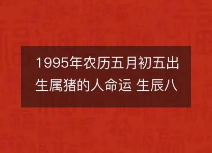 1995年农历五月初五出生属猪<font color='red'>的人</font>命运 生辰八字五行 事业财运详解