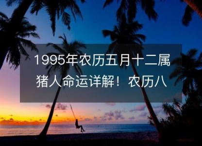 1995年农历五月十二属猪<font color='red'>人命</font>运详解！农历八字五行缺什么 婚姻事业