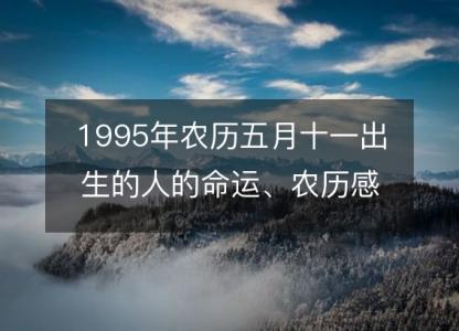 1995年农历五月十一出生<font color='red'>的人</font>的命运、农历感情婚姻、性格、事业财运