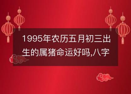 1995年农历五月初三出生的属猪命运好吗,八字五行<font color='red'>缺什么</font> 性格特点