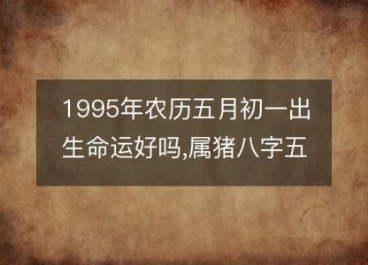 1995年农历五月初一出生命运好吗,属猪八字五行事业感情<font color='red'>解析</font>