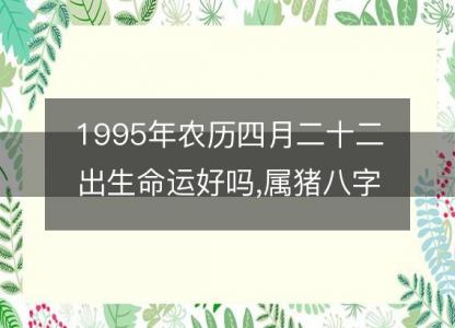 1995年农历四月二十二出生命运好吗,属猪八字五行事业感情<font color='red'>解析</font>