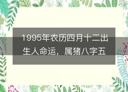 1995年农历四月十二出<font color='red'>生人</font>命运，属猪八字五行缺什么 性格感情详解