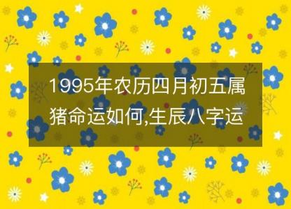 1995年农历四月初五属猪<font color='red'>命运</font>如何,生辰八字运势 五行查询