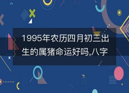 1995年农历四月初三出生的属猪命运好吗,八字五行<font color='red'>缺什么</font> 性格特点