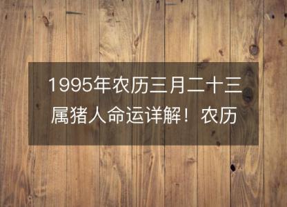 1995年农历三月二十三属猪<font color='red'>人命</font>运详解！农历八字五行缺什么 婚姻事业