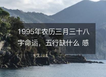 1995年农历三月三十八字命运，五行<font color='red'>缺什么</font> 感情婚姻、性格、事业财运
