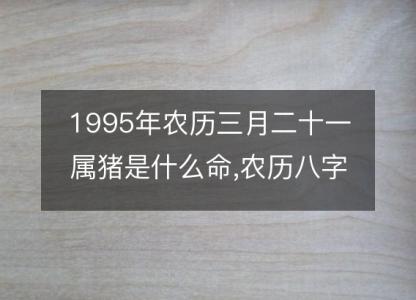 1995年农历三月二十一属猪是什么命,农历八字五行缺不缺,<font color='red'>姻缘</font>解析