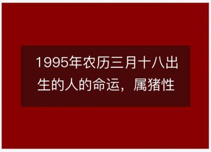 1995年农历三月十八出生的人的命运，属猪<font color='red'>性格特点</font> 八字五行