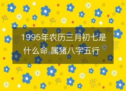 1995年农历三月初七是什么命 属猪八字五行 <font color='red'>婚姻</font>事业详解