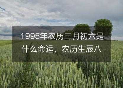 1995年农历三月初六是什么命运，农历生辰八字五行缺吗 事业<font color='red'>婚姻</font>