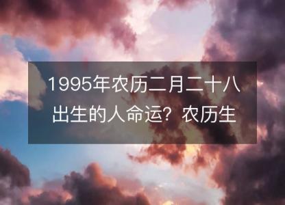 1995年农历二月二十八出生的人命运？农历生辰八字 不同<font color='red'>时辰</font>五行详解