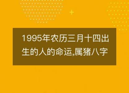 1995年农历三月十四出生的人的命运,属猪八字五行 <font color='red'>性格特点</font>