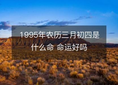 1995年农历三月初四是什么命 <font color='red'>命运</font>好吗