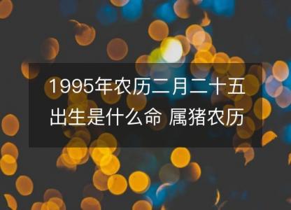 1995年农历二月二十五出生是什么命 属猪农历八字五行解析  <font color='red'>性格特点</font>