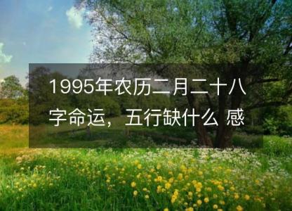 1995年农历二月<font color='red'>二十八</font>字命运，五行缺什么 感情婚姻、性格、事业财运