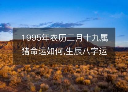 1995年农历二月十九属猪命运如何,生辰八字<font color='red'>运势</font> 五行查询