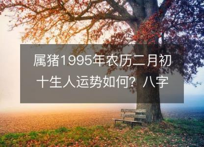 属猪1995年农历二月初十<font color='red'>生人</font>运势如何？八字命运五行缺吗！性格详解