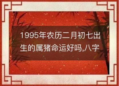 1995年农历二月初七出生的属猪命运好吗,八字五行<font color='red'>缺什么</font> 性格特点