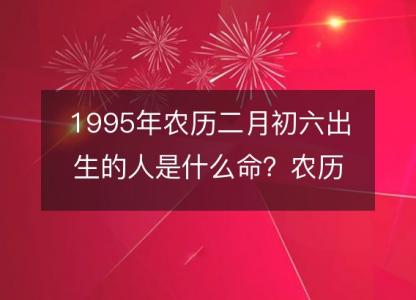 1995年农历二月初六出生的人是什么命？农历生辰八字,不同<font color='red'>时辰</font>五行查询
